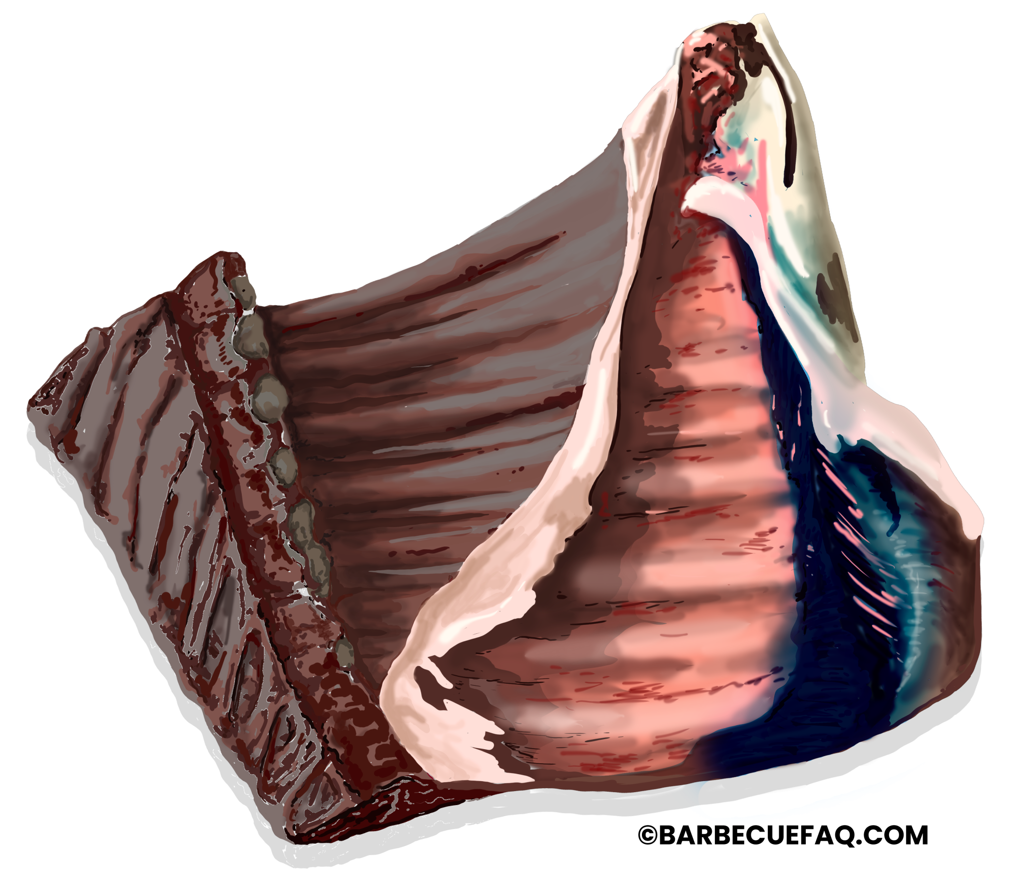 Inside Vs Outside Skirt Steak What Is The Difference Between These