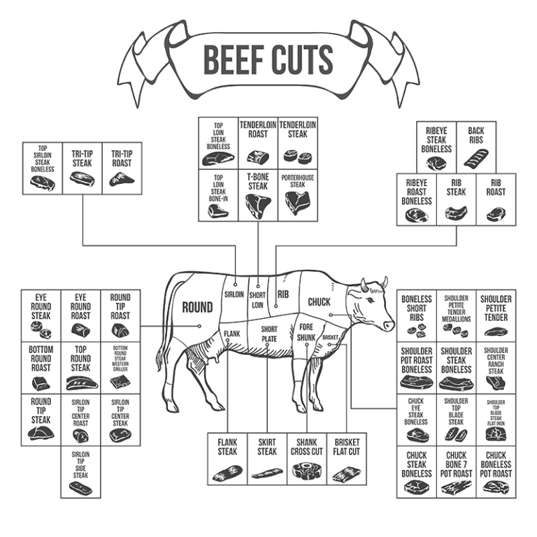 Primal Cuts Of Beef Explained Names Descriptions Location Barbecue Faq