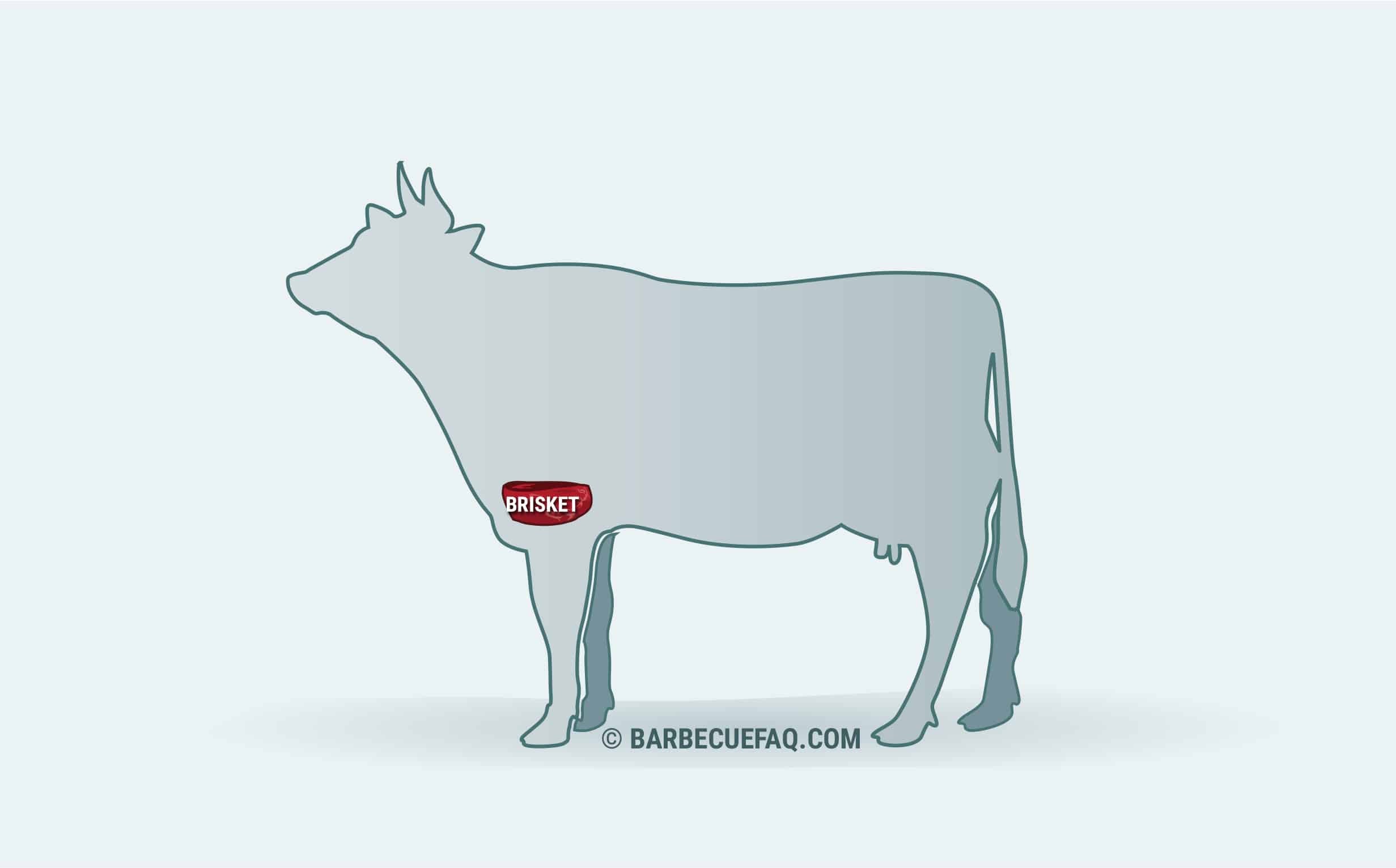 Cuts of Beef: What Cuts Do You Get With a Quarter or Half Beef?