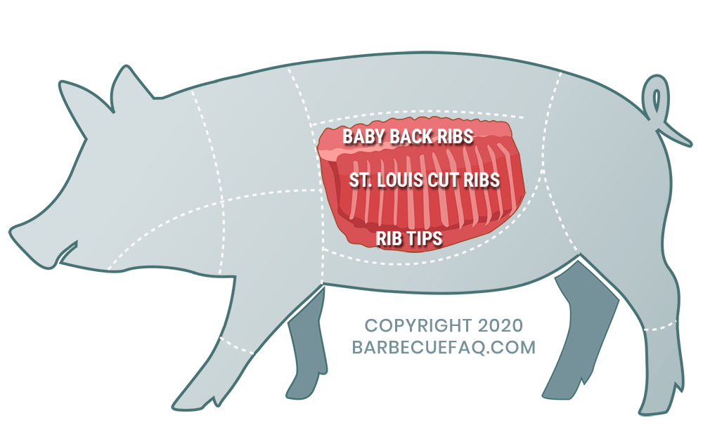 spare-ribs-vs-baby-back-ribs-what-s-the-difference-grill-faq-2023