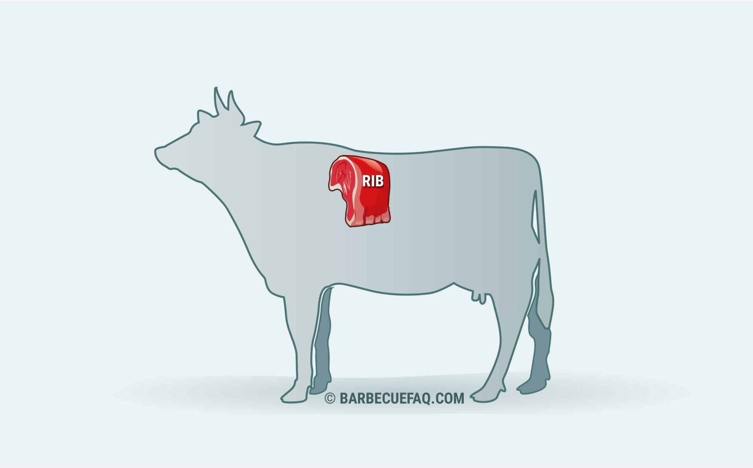 What is Prime Rib Roast? Location, Types, and More - Barbecue FAQ