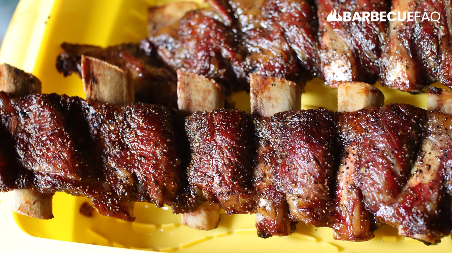 5 Best Meats to Smoke for Beginners Pork, Beef, Poultry, and More