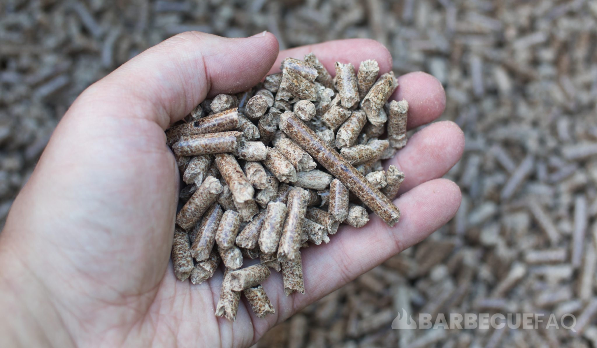 Best Wood for Smoking Ribs Pork and Beef Barbecue FAQ