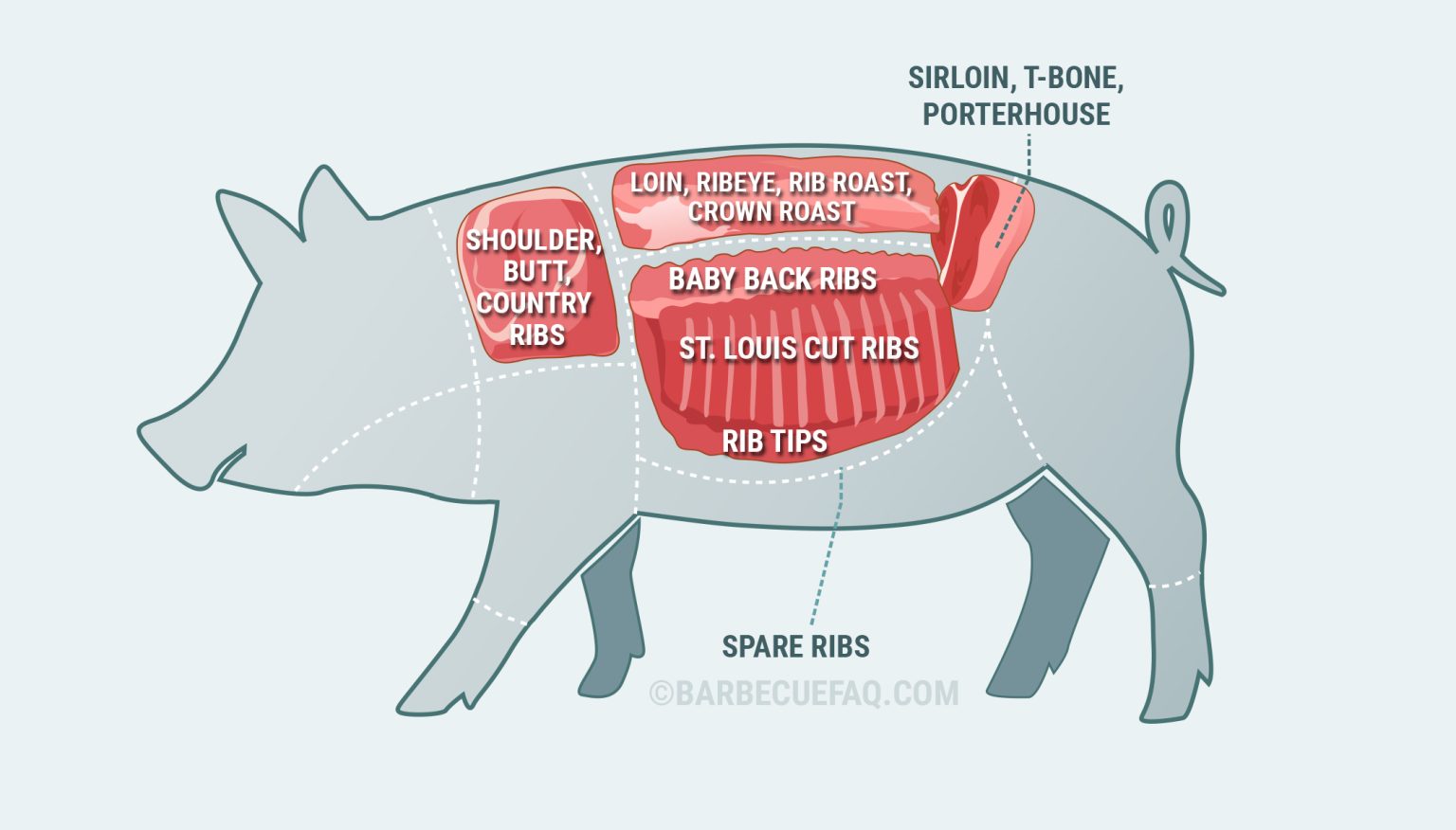 Types Of Pork Ribs: The Differences Explained - Barbecue FAQ