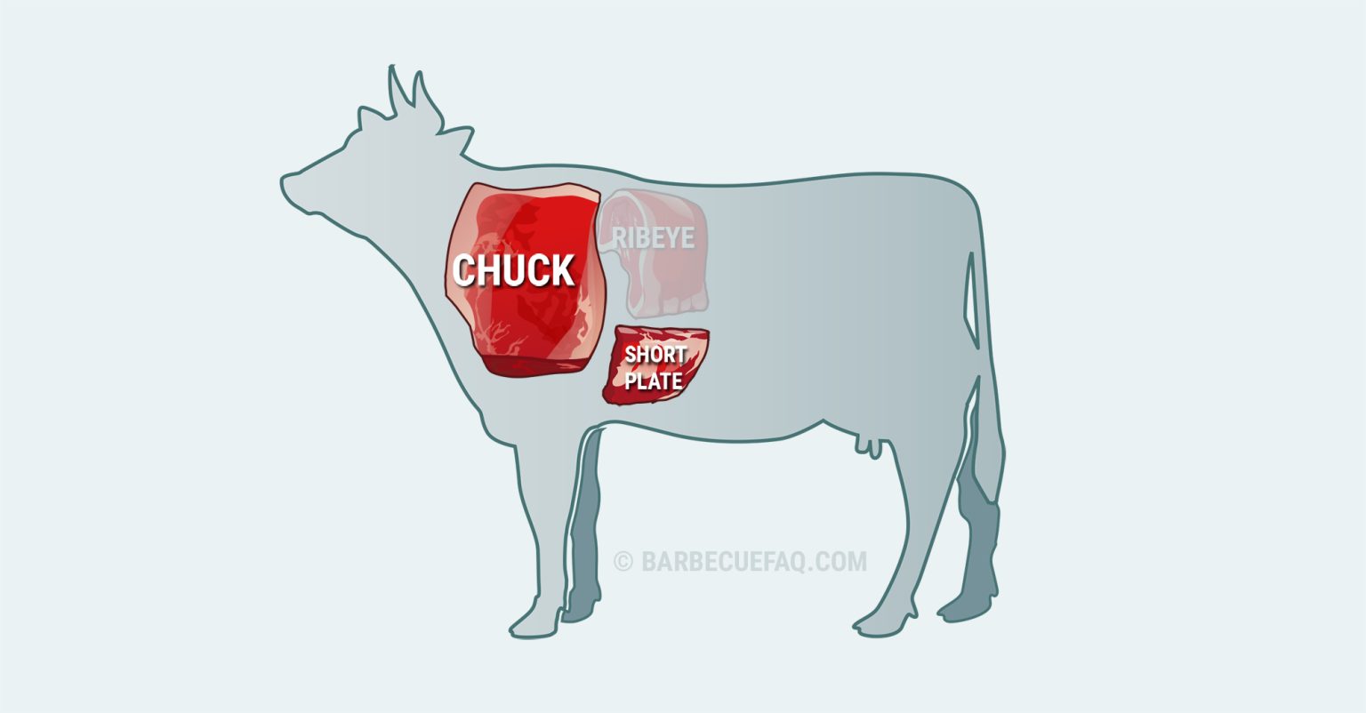 Types of Beef Ribs Differences Explained Barbecue FAQ