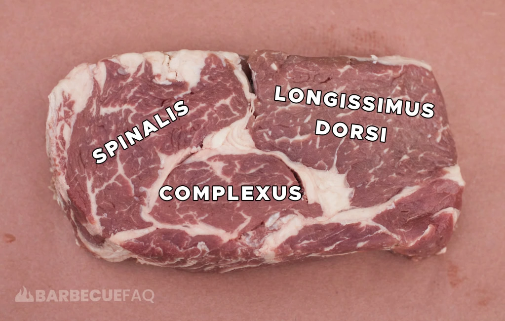 ribeye steak general anatomy