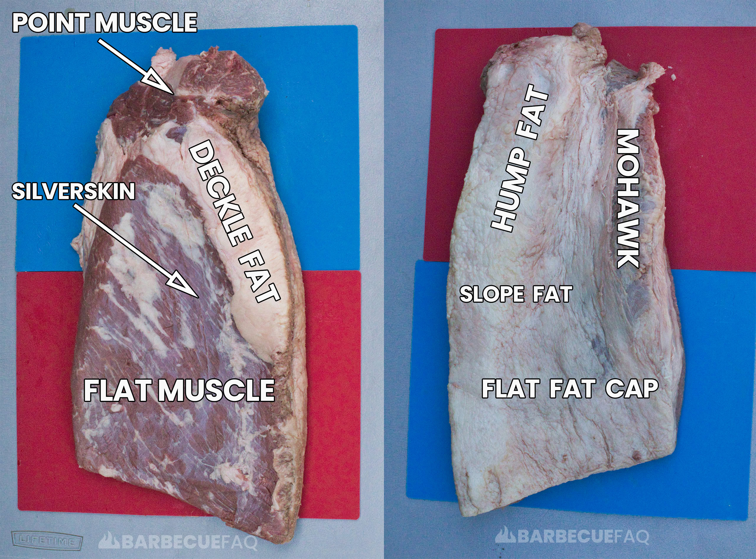 brisket meat and fat side diagram