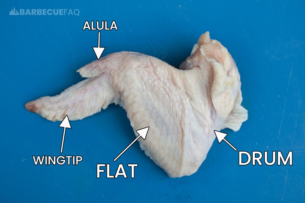 whole chicken wing anatomy