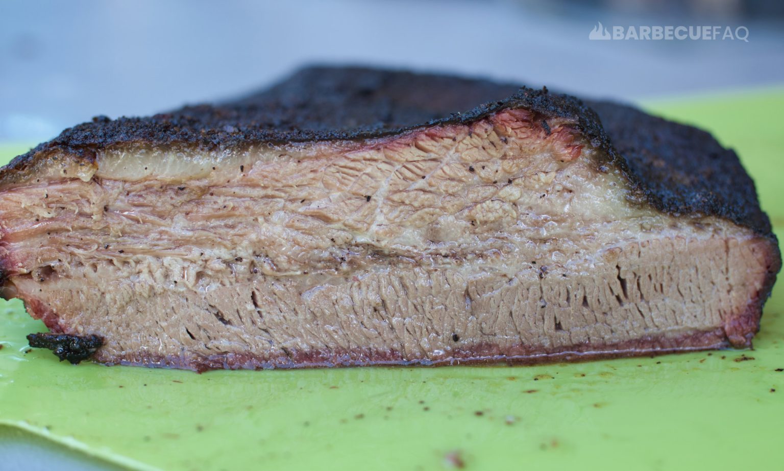 Pulled Pork vs Brisket Which Meat is Better? Barbecue FAQ