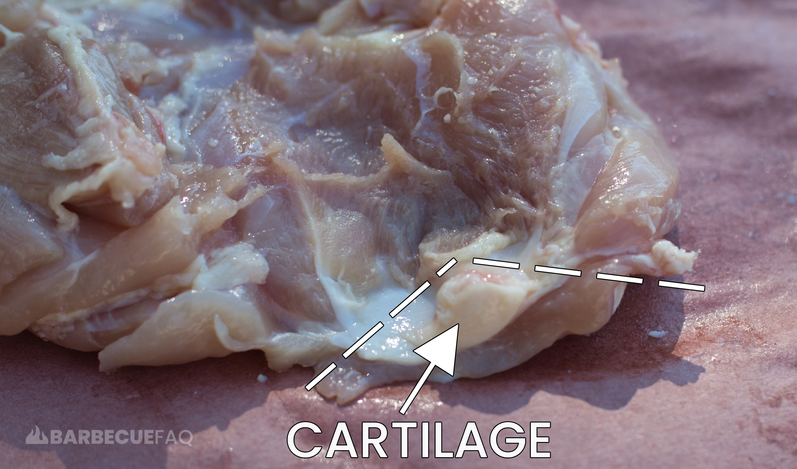 chicken thigh cartilage