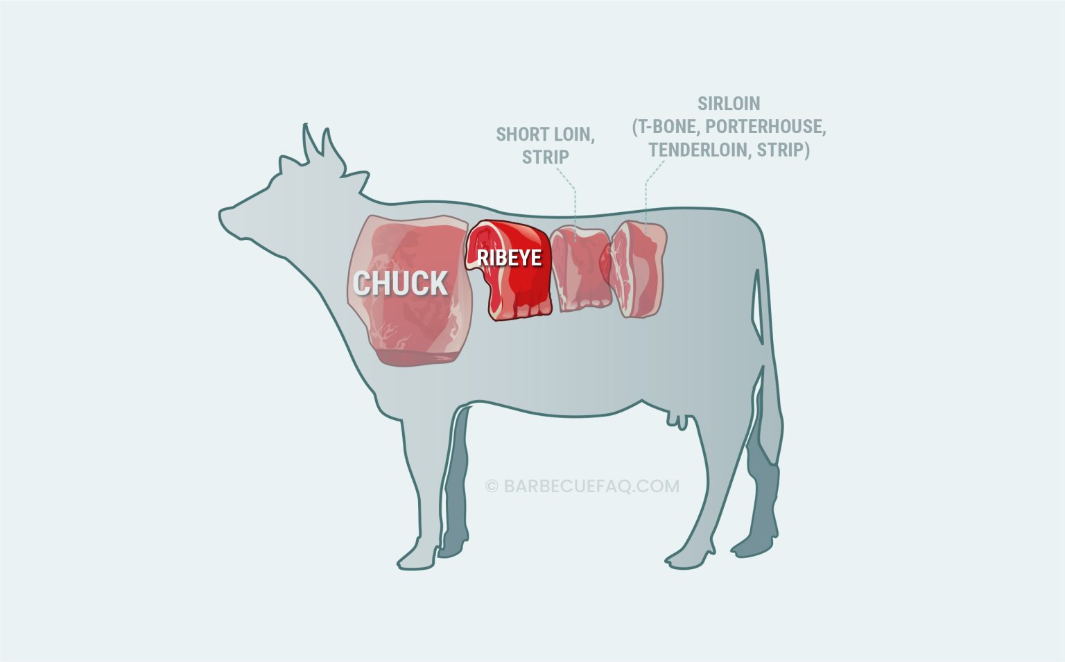 Ribeye vs Chuck Eye Steak: What's the Difference? - Barbecue FAQ