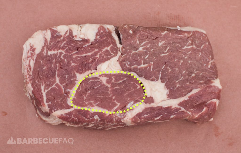 complexus rib muscle highlighted