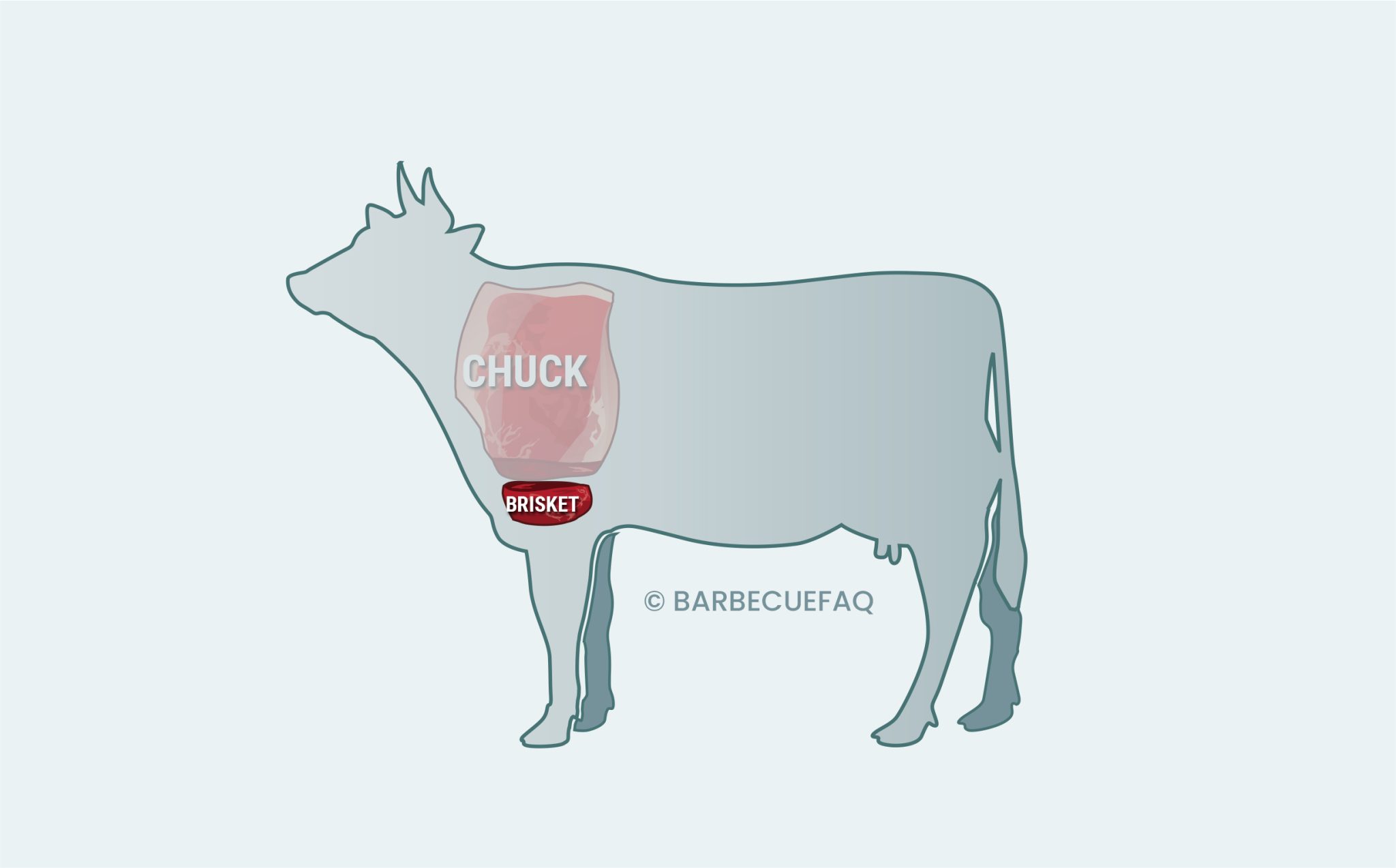 Brisket Vs Chuck Roast The Differences Explained Barbecue FAQ brisket-vs-chuck-roast-the-differences-explained-barbecue-faq