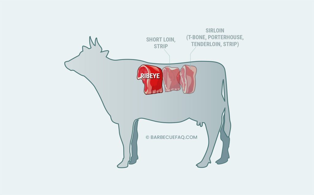 ribeye in relation to short loin and sirloin