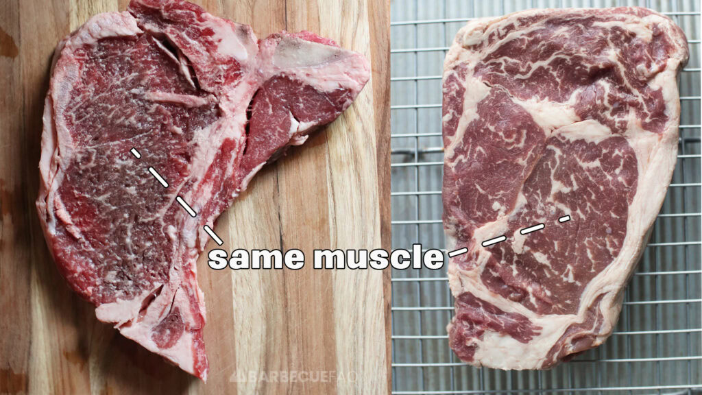 t-bone and ribeye steak showing that they have the same main muscle