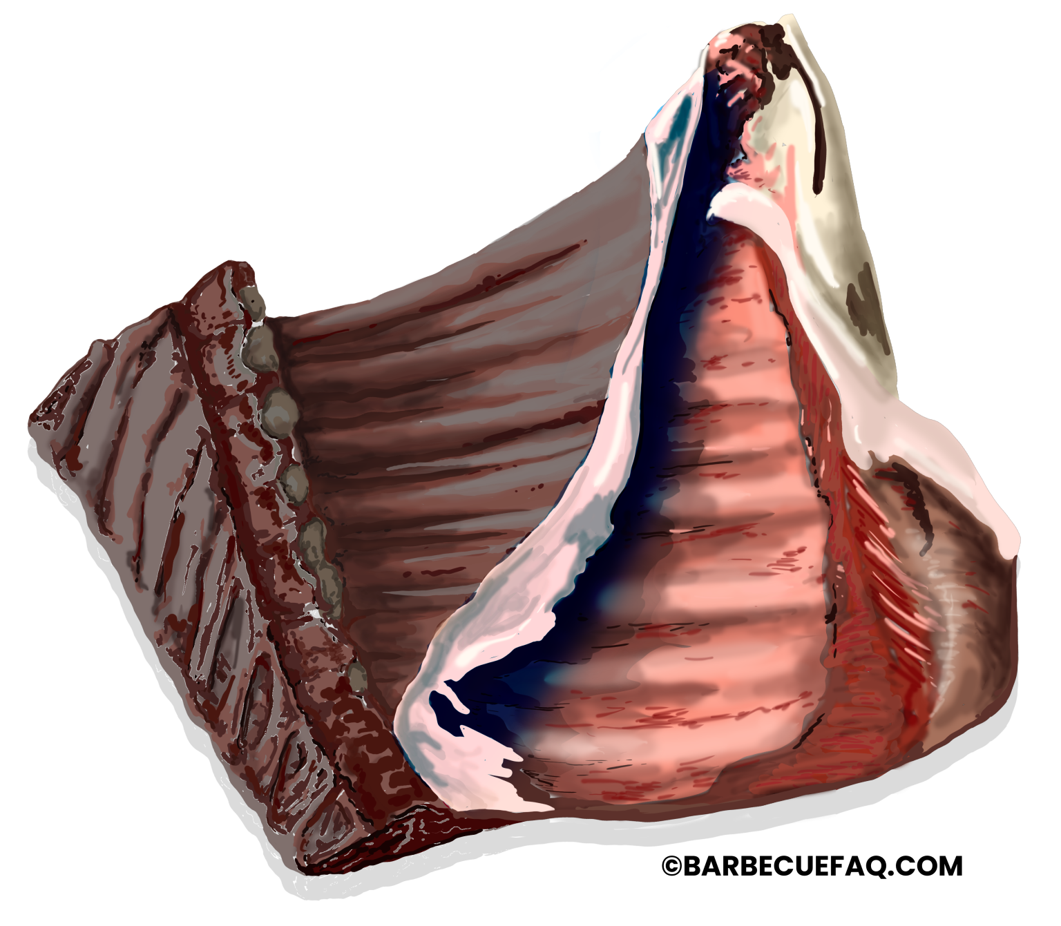 Inside vs Outside Skirt Steak What is the Difference Between these