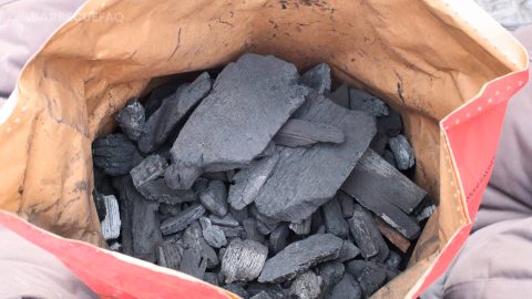 charcoal bag opened