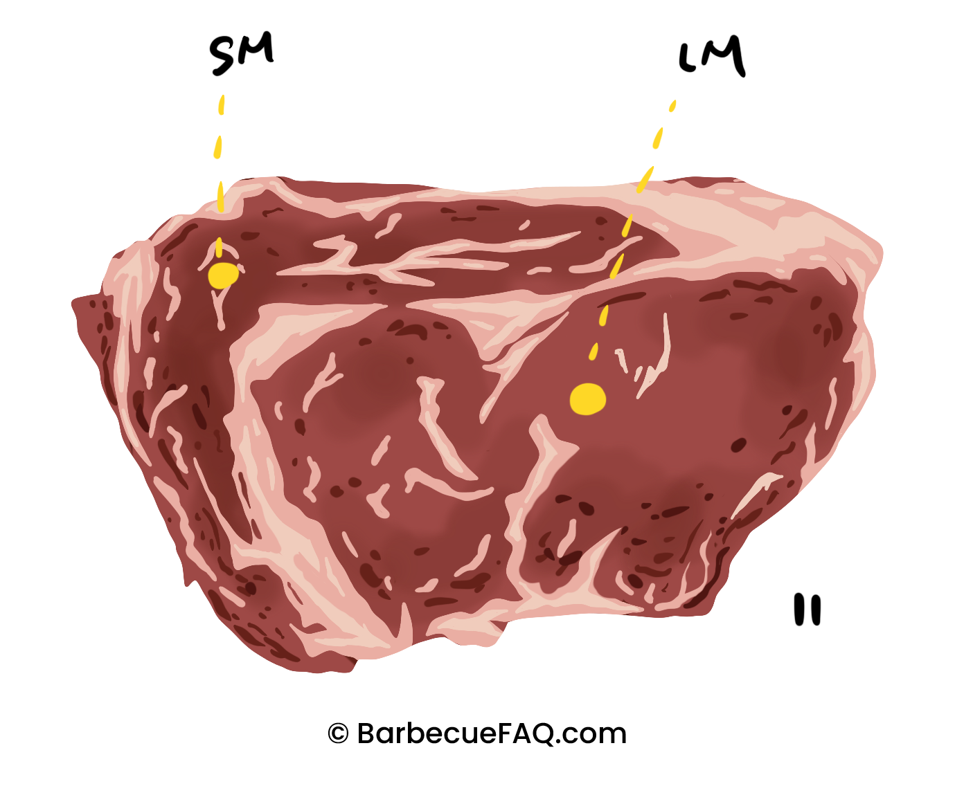 What is Prime Rib Roast? Location, Types, and More Barbecue FAQ