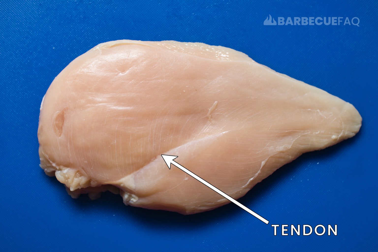 How To Cut Chicken Breast Against The Grain Barbecue FAQ   Chicken Breast Tendon 1536x1024 