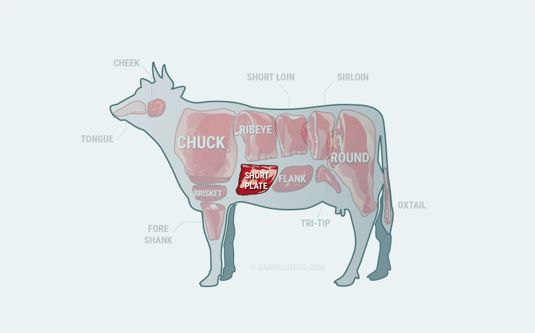 What are Dino Short Plate Ribs: Cut Explained - Barbecue FAQ