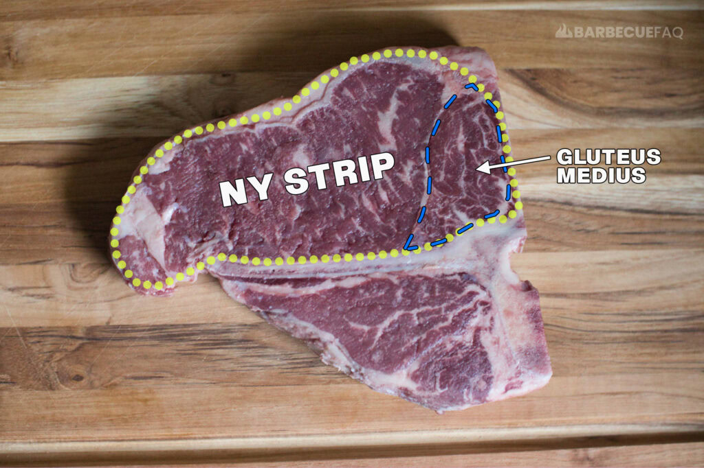 a picture of an t-bone steak on a cutting board highlighting where ny strip and the gluteus medius muscle is