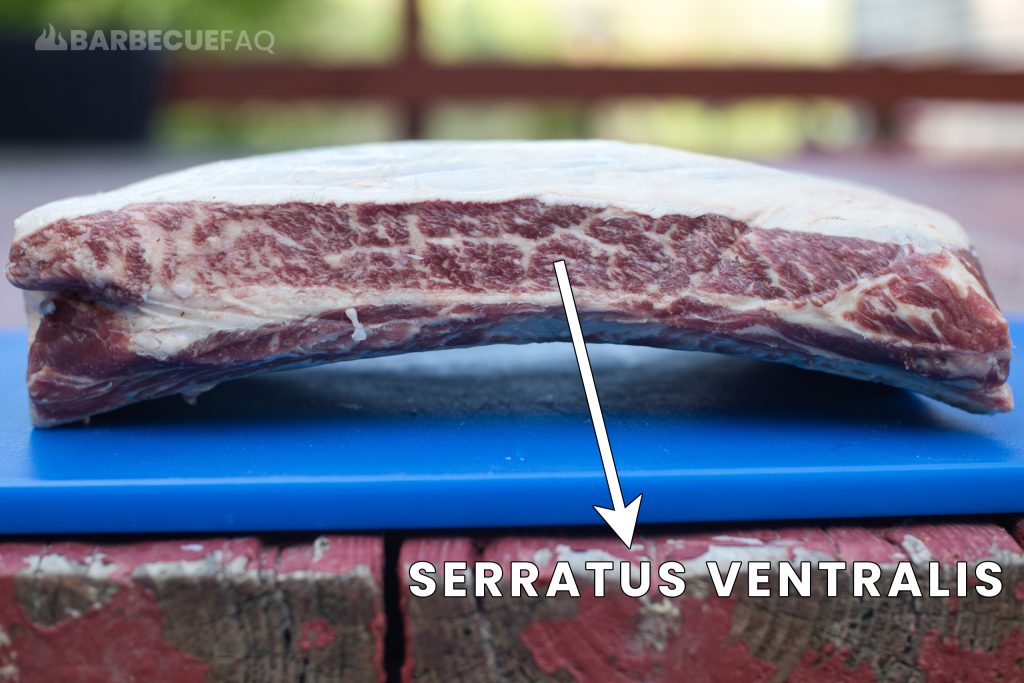 serratus ventralis muscle on dino beef ribs