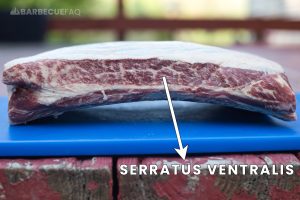 What are Dino Short Plate Ribs: Cut Explained - Barbecue FAQ