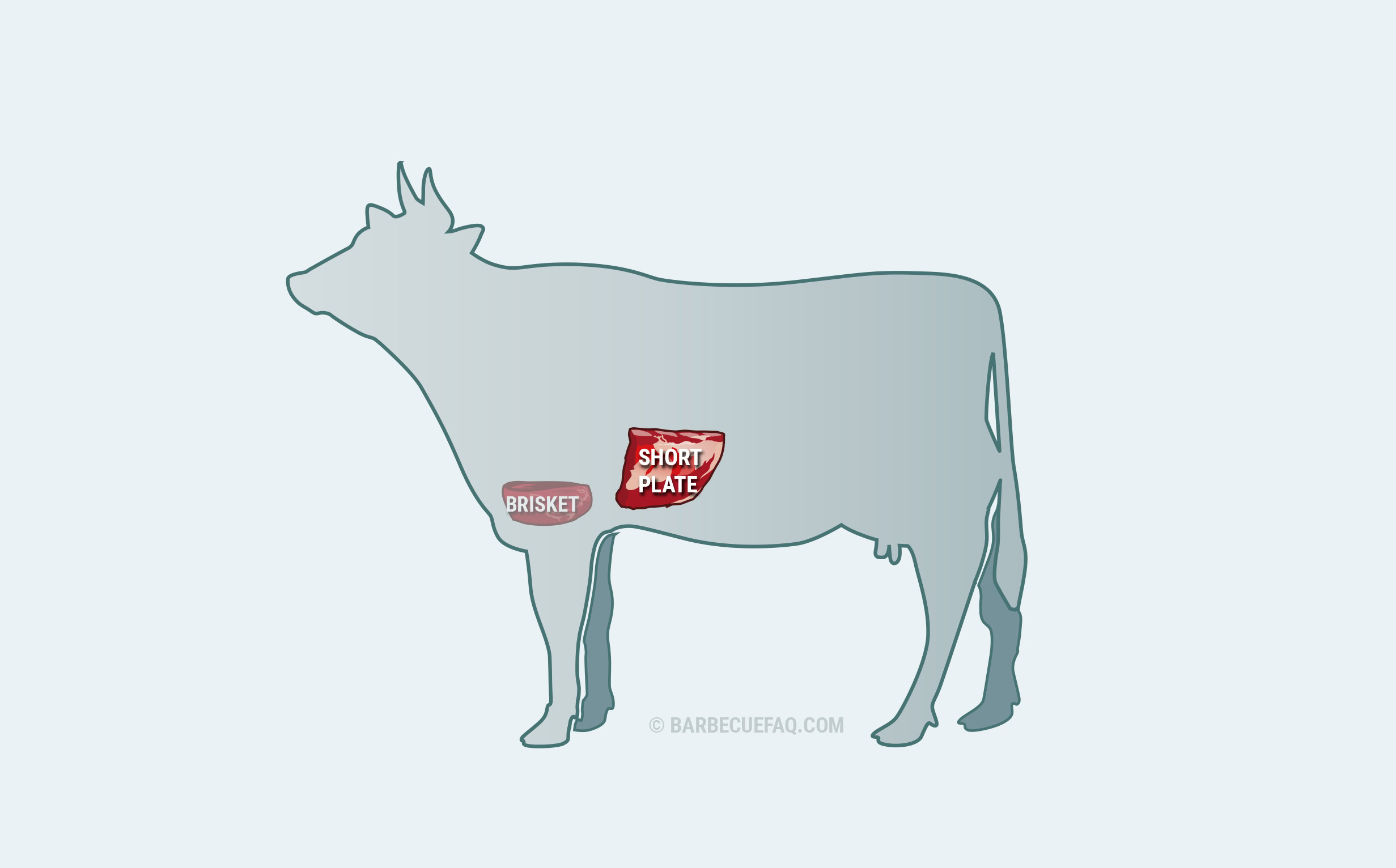 Brisket vs Short Rib Cost, Serving Sizes, Taste, and More Barbecue FAQ