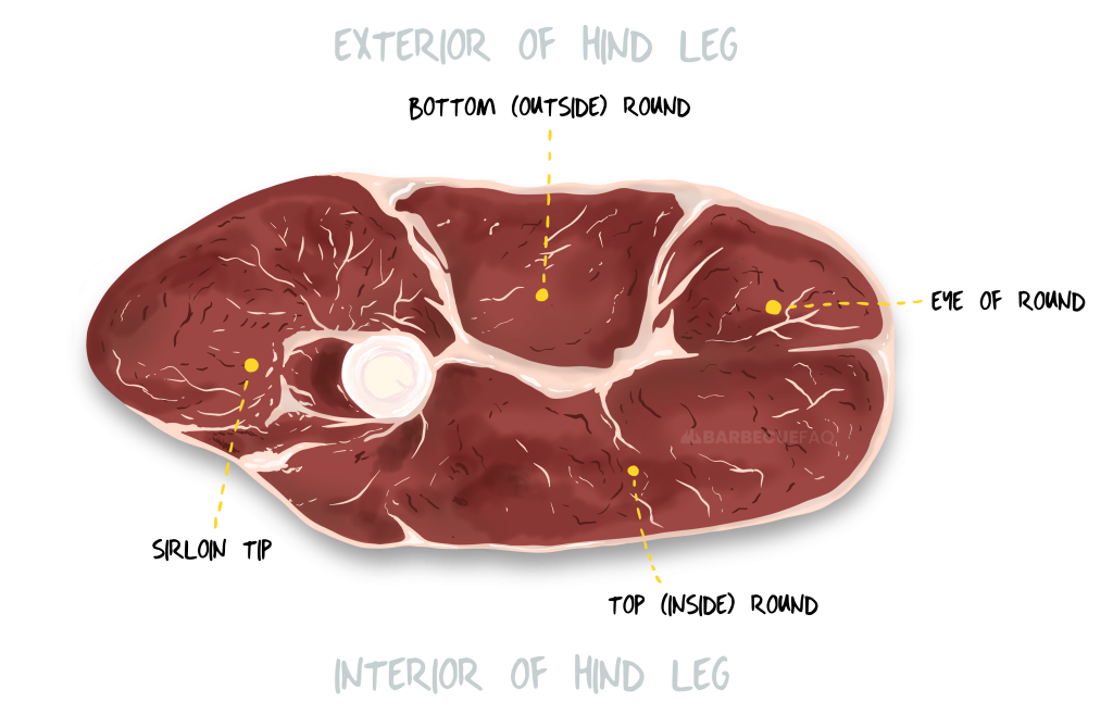 beef round cross section