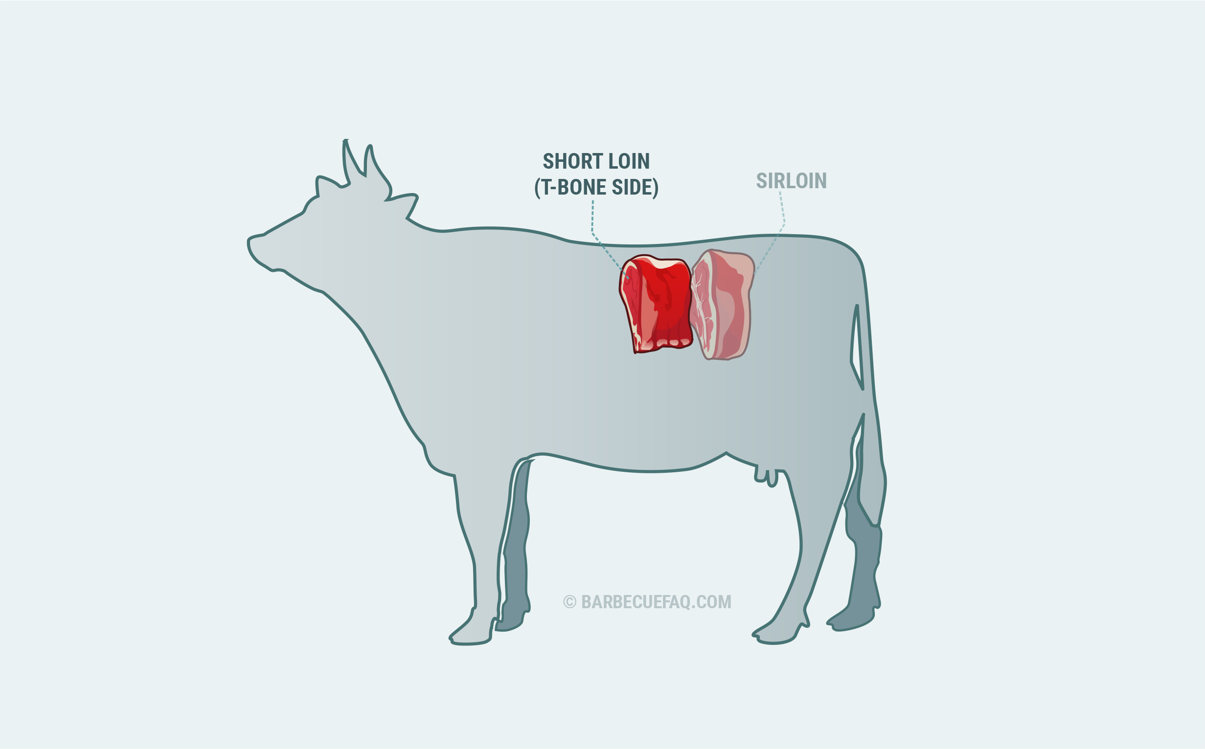 What is Tbone Steak? Popular Cut Explained Barbecue FAQ