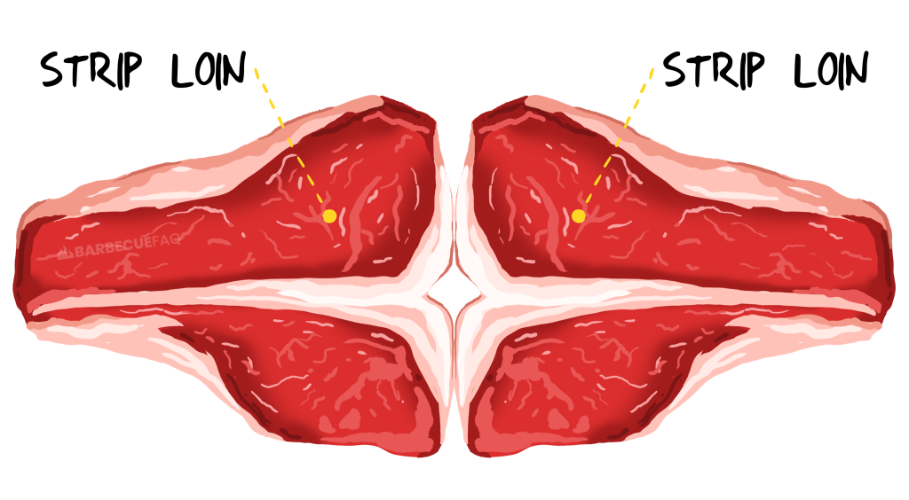 strip loin muscle