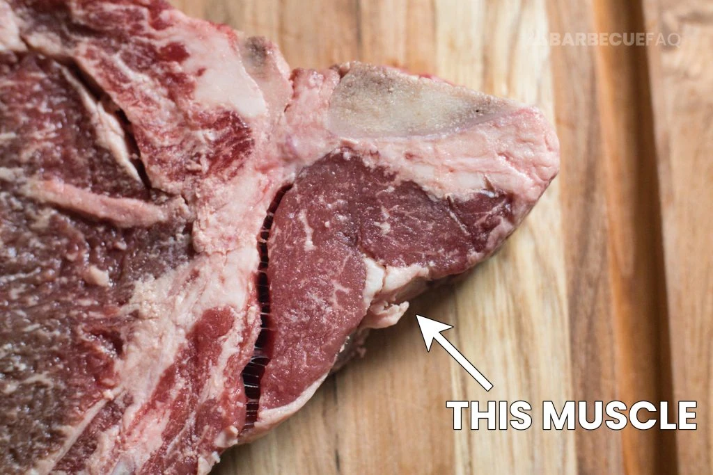 t-bone loin muscle size