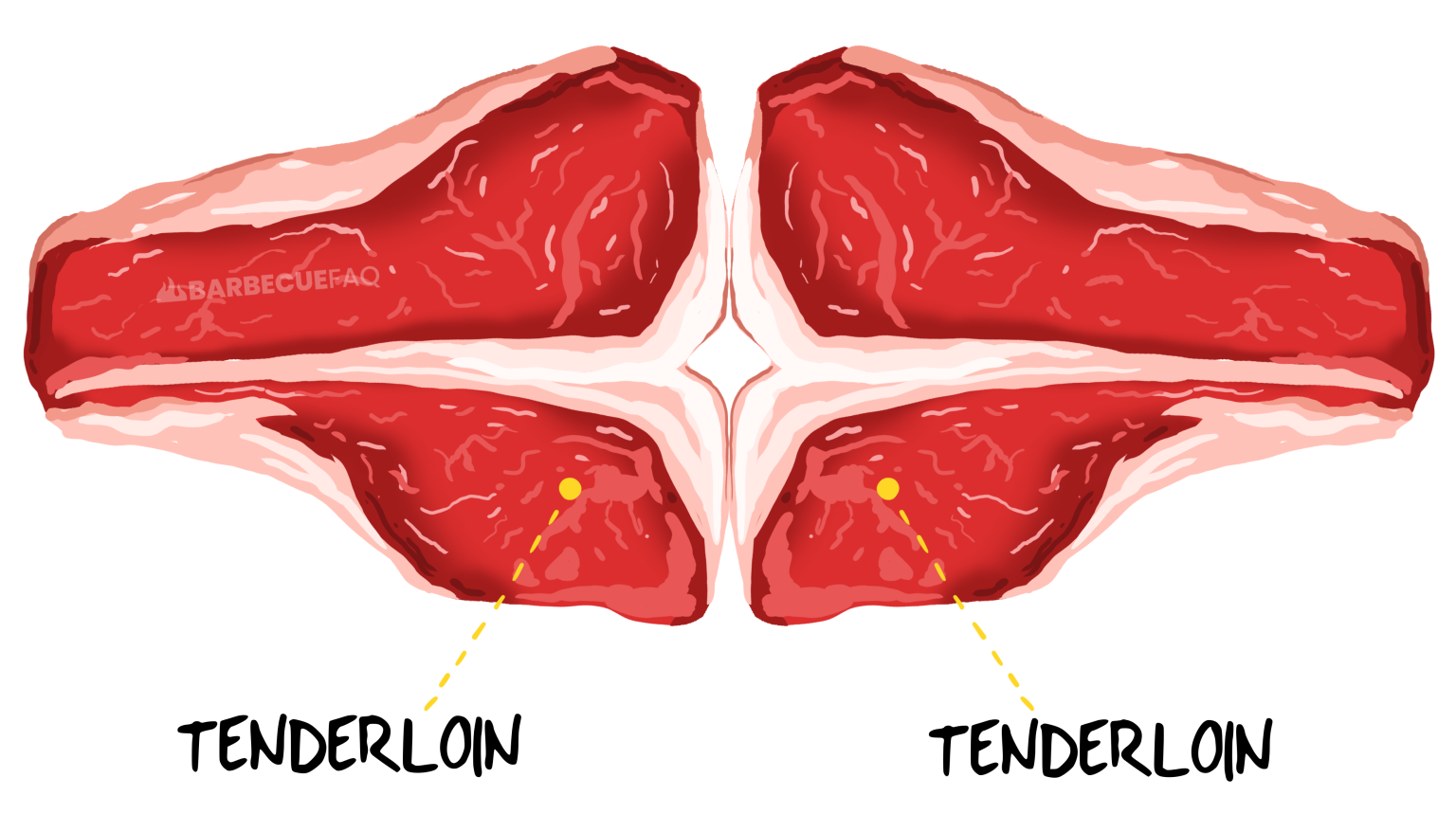 What Is T bone Steak Location Muscles And More Barbecue FAQ what-is-t-bone-steak-location-muscles-and-more-barbecue-faq