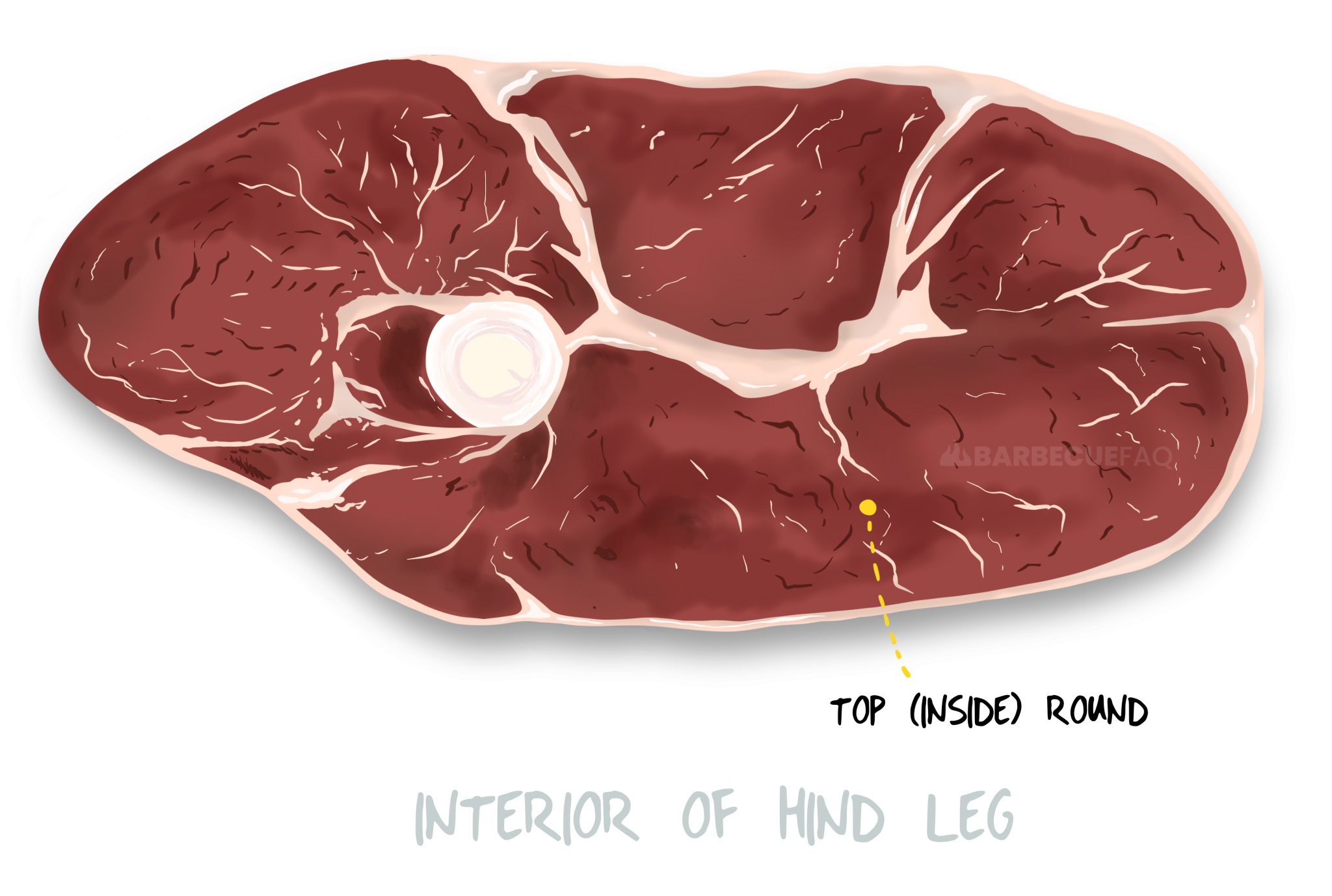 6 Best Cuts of Meat for Beef Jerky Your Options Explained Barbecue FAQ