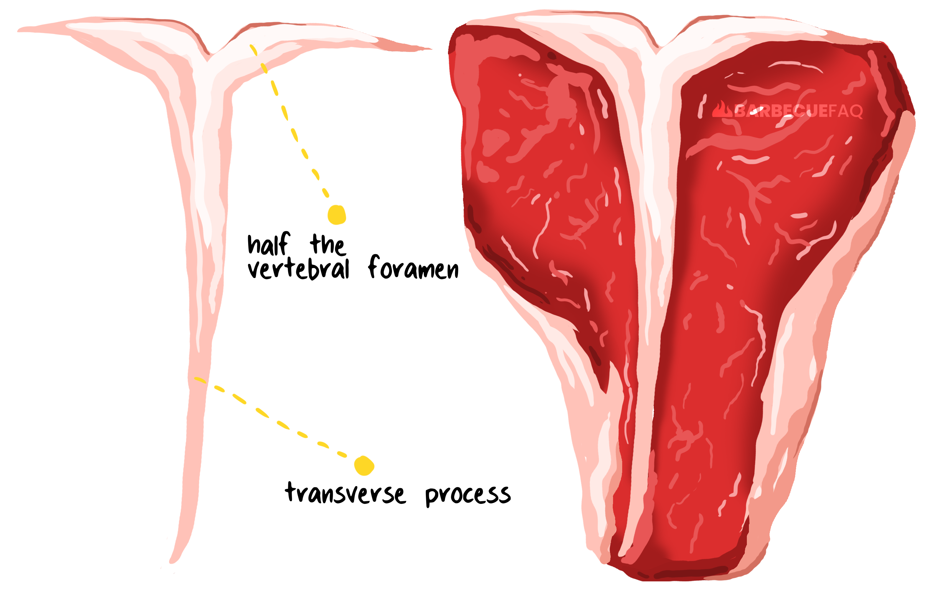 what it's called a t-bone steak