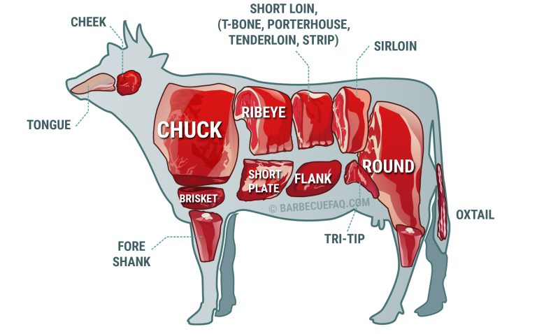 cow primals labeled