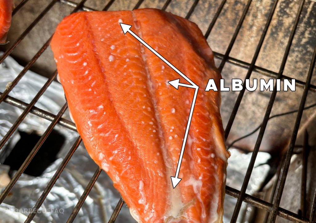 albumin leaking from fish