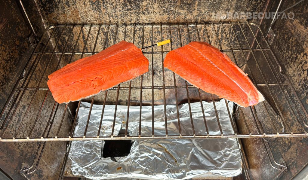 salmon in electric smoker