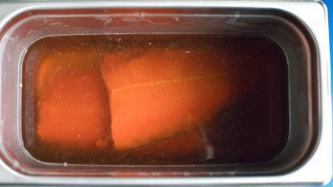 salmon in a container with simple brine