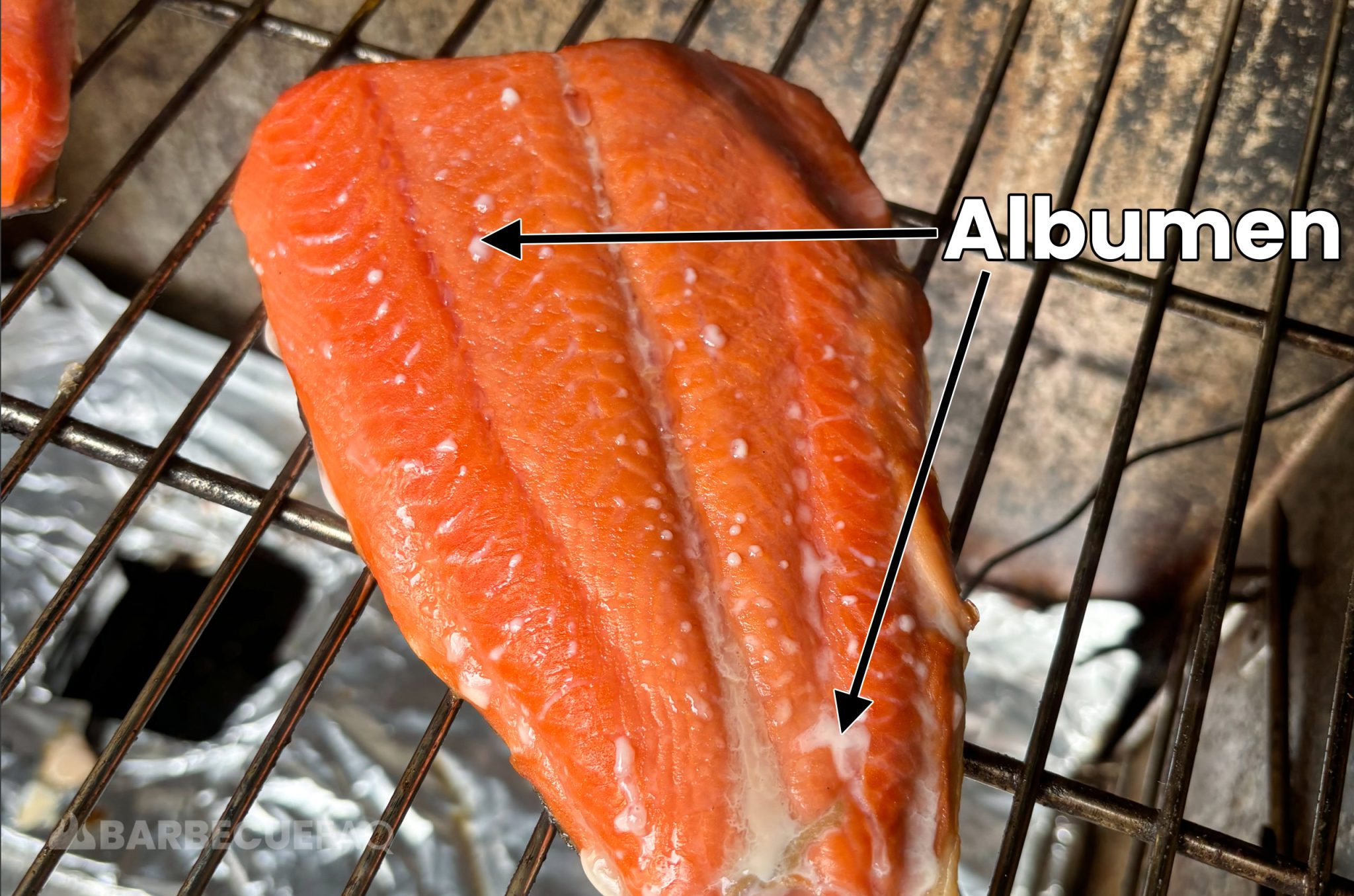 Wicked Simple Electric Smoker Smoked Salmon Recipe (4 Ingredients) Barbecue FAQ
