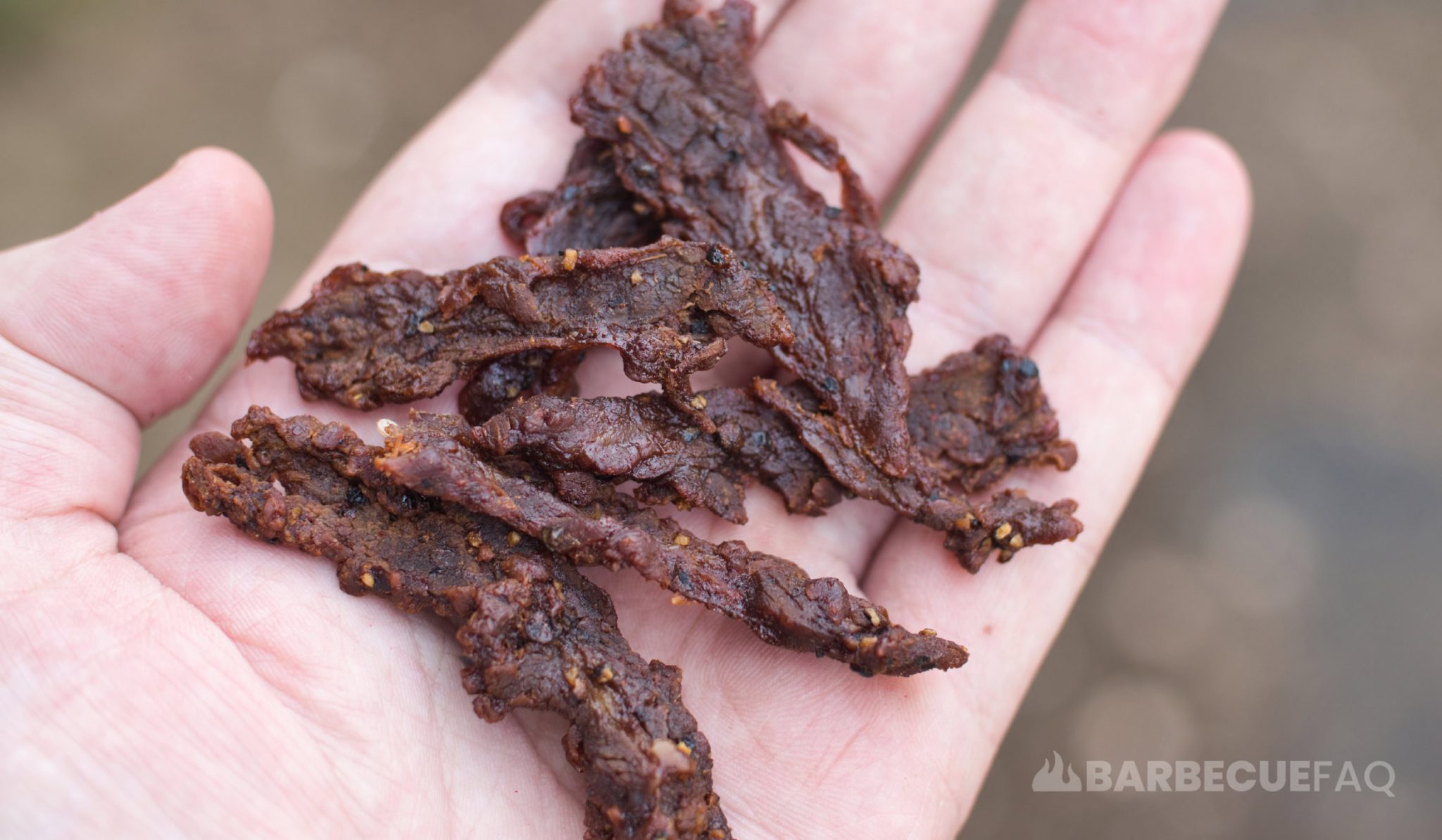BBQ SauceFlavored Beef Jerky Recipe & Guide Barbecue FAQ