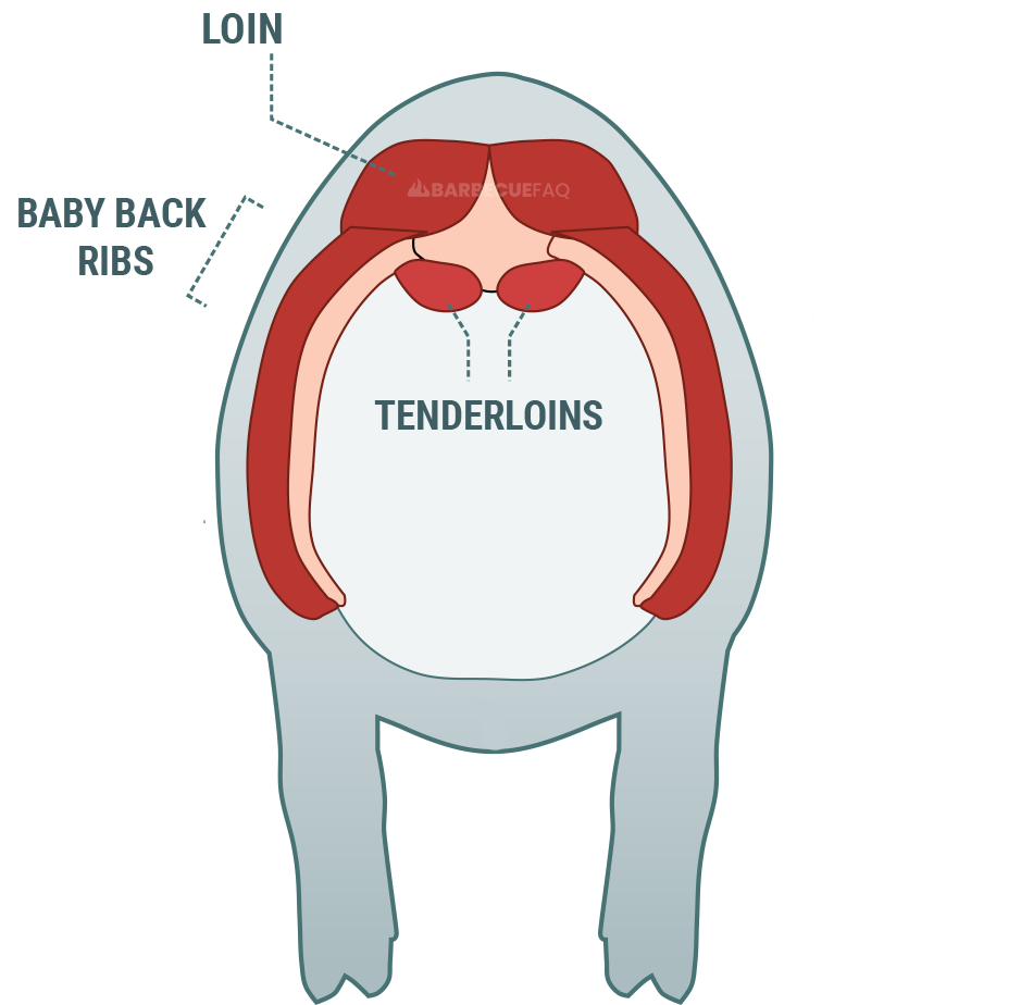 location of baby back ribs on a pig front view