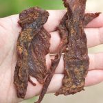 teriyaki beef jerky