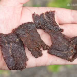 chipotle bourbon beef jerky recipe