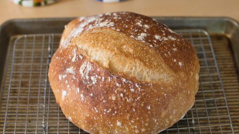 no knead bread resting