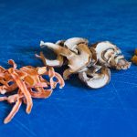 ramen veggies recipe