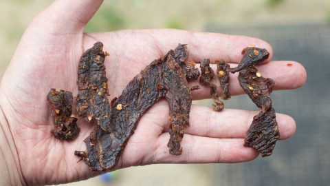 holding habanero teriyaki jerky in hand